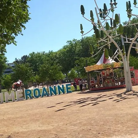 Sympa Et Tres Calme Entre Canal Et Loire Appartamento Roanne